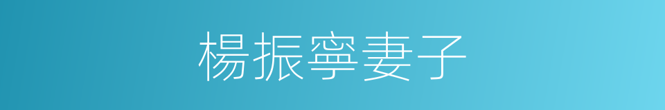 楊振寧妻子的同義詞