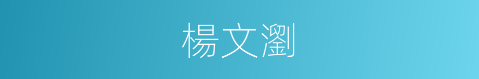 楊文瀏的同義詞