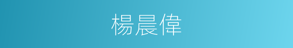 楊晨偉的同義詞