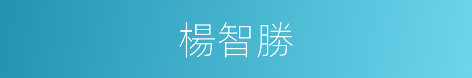 楊智勝的同義詞