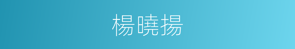 楊曉揚的同義詞