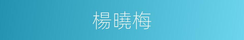 楊曉梅的同義詞