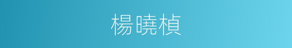 楊曉楨的同義詞