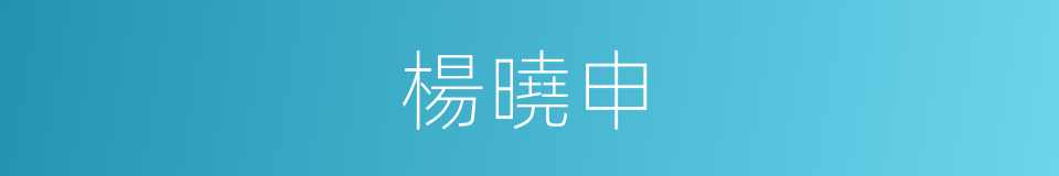 楊曉申的同義詞