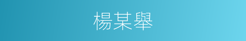 楊某舉的同義詞