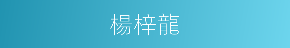 楊梓龍的同義詞