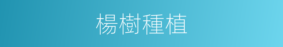 楊樹種植的同義詞