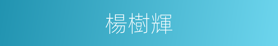 楊樹輝的同義詞