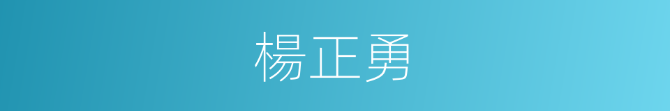 楊正勇的同義詞