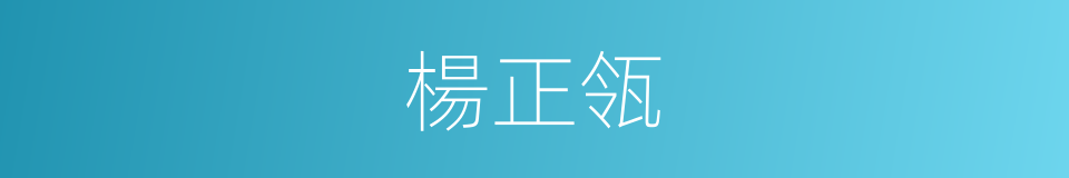 楊正瓴的同義詞