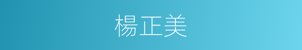 楊正美的同義詞