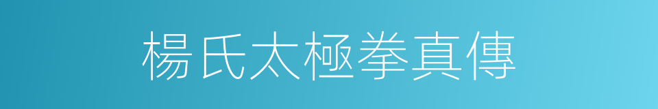 楊氏太極拳真傳的同義詞