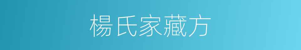 楊氏家藏方的同義詞