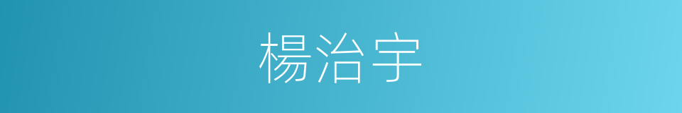 楊治宇的同義詞