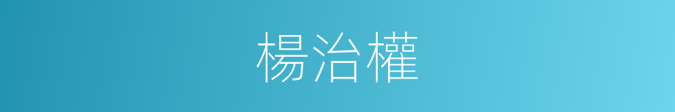 楊治權的同義詞