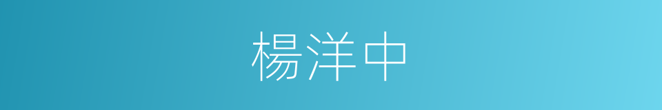 楊洋中的同義詞