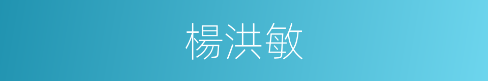 楊洪敏的同義詞