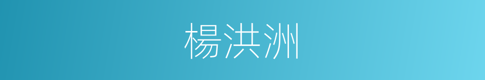 楊洪洲的同義詞