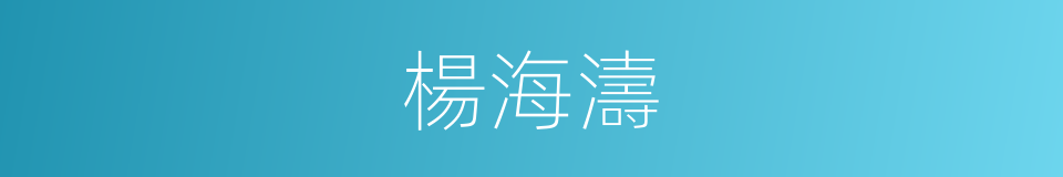 楊海濤的同義詞