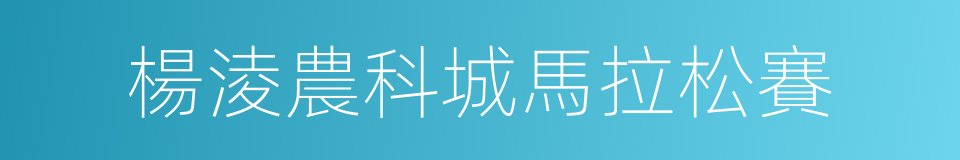 楊淩農科城馬拉松賽的同義詞