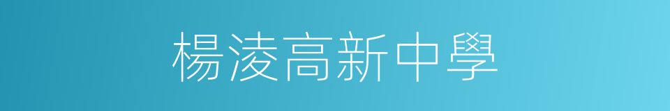 楊淩高新中學的同義詞