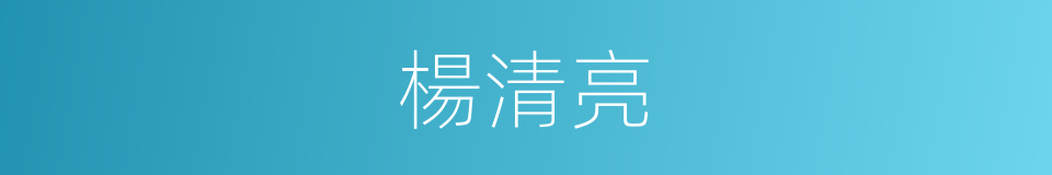 楊清亮的同義詞