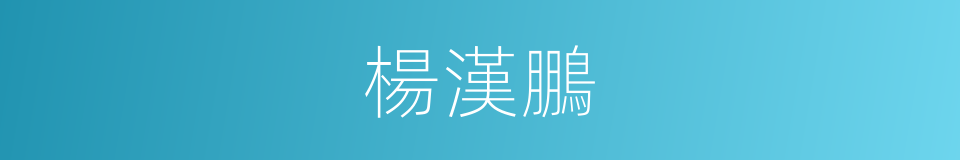 楊漢鵬的同義詞