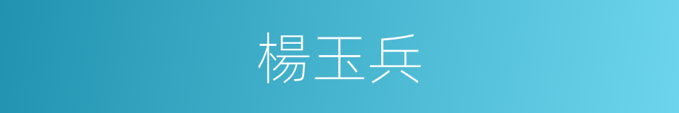 楊玉兵的同義詞