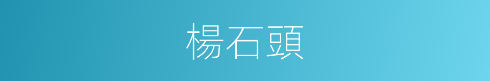 楊石頭的同義詞