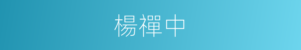 楊禪中的同義詞