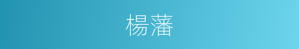 楊藩的同義詞