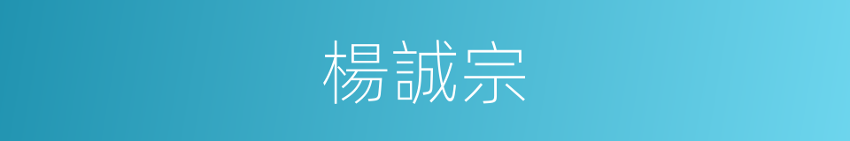 楊誠宗的同義詞