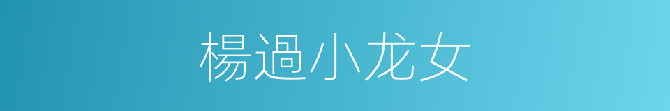 楊過小龙女的同義詞