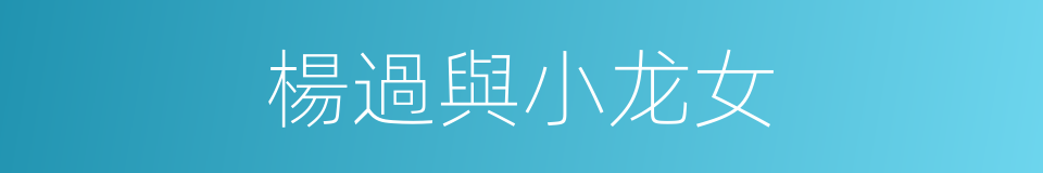 楊過與小龙女的同義詞