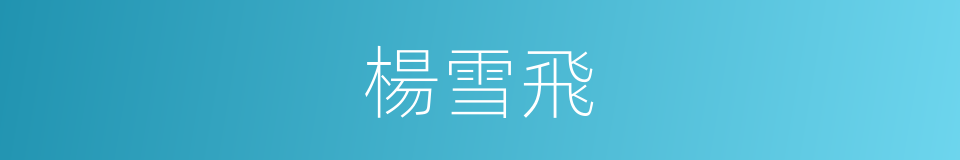 楊雪飛的同義詞