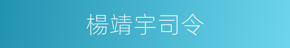 楊靖宇司令的同義詞