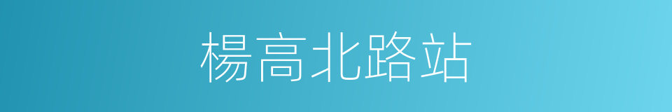 楊高北路站的同義詞