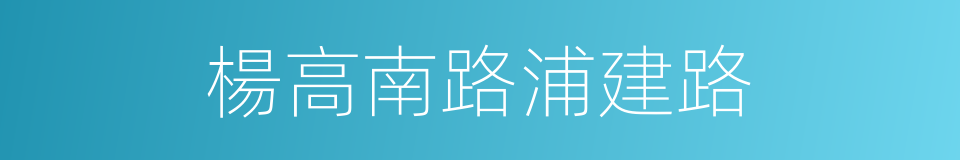 楊高南路浦建路的同義詞