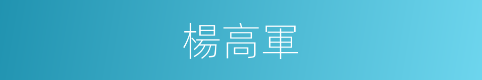 楊高軍的同義詞