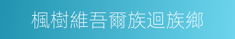楓樹維吾爾族迴族鄉的同義詞