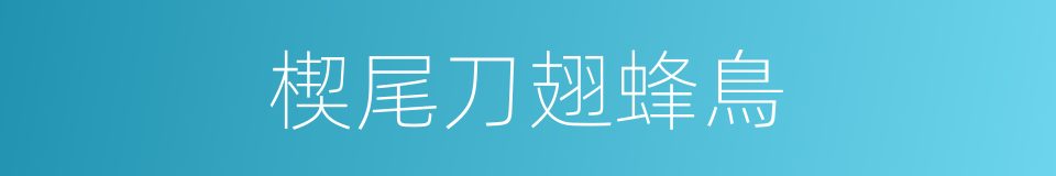 楔尾刀翅蜂鳥的同義詞