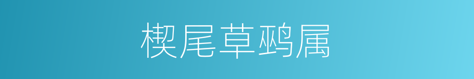 楔尾草鹀属的同义词