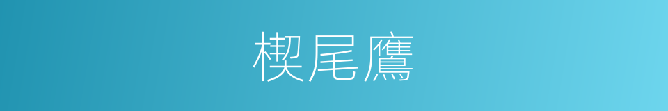 楔尾鷹的同義詞