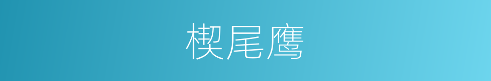 楔尾鹰的同义词