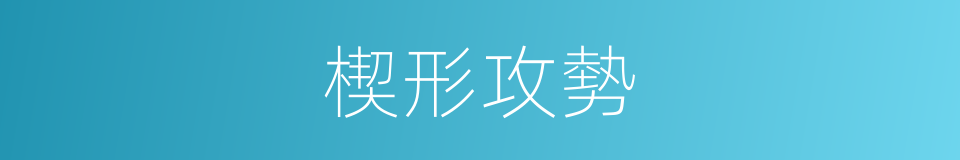 楔形攻勢的意思