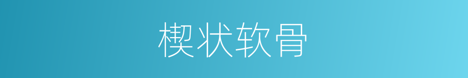 楔状软骨的同义词