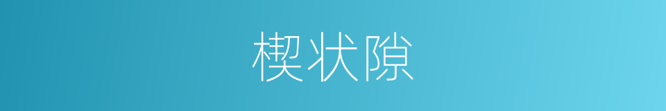 楔状隙的同义词