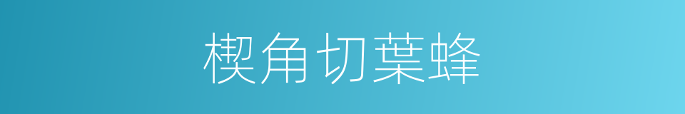 楔角切葉蜂的同義詞