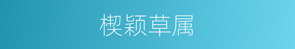 楔颖草属的同义词