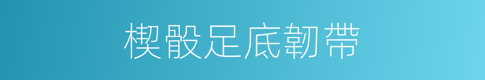 楔骰足底韌帶的同義詞